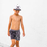 Hydro Snapback in Free Bird