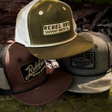 Snapback in Pinelands