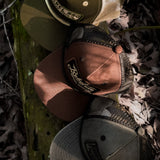 Snapback in Pinelands
