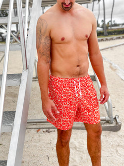 Image of Caicos Swim Trunks (FINAL SALE)